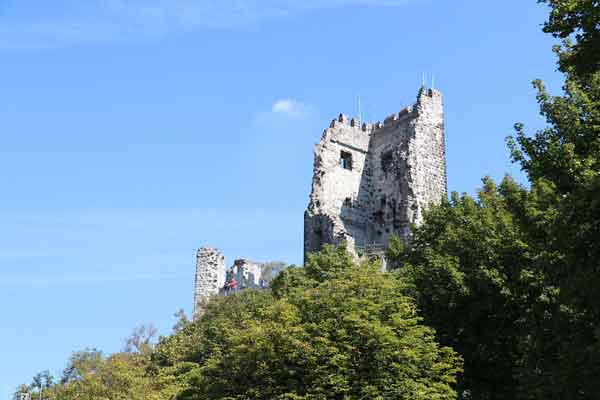 Drachenfels